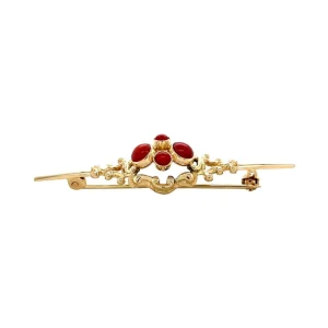 Fashion Gouden broche met bloedkoraal 14 krt Broches