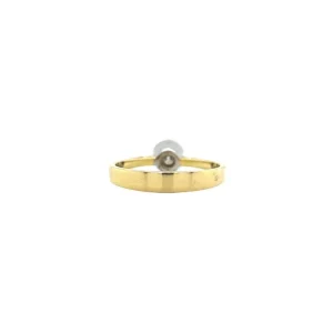 Online Gouden ring met diamant 18 krt Diamanten Ringen