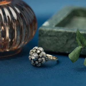 Online Gouden ring met roosdiamant 14 krt/925 Entourage Ring | Diamanten Ringen