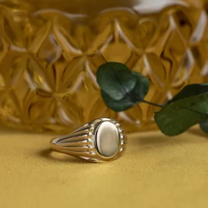 Outlet Gouden zegelring 14 krt Gouden Ringen