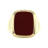 Online Gouden zegelring met lagensteen carneool 14 krt Ringen Met Edelsteen