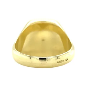Online Gouden zegelring met lagensteen carneool 14 krt Ringen Met Edelsteen