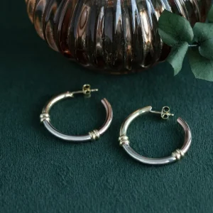 Fashion Tricolour gouden oorringen 14 krt Oorringen